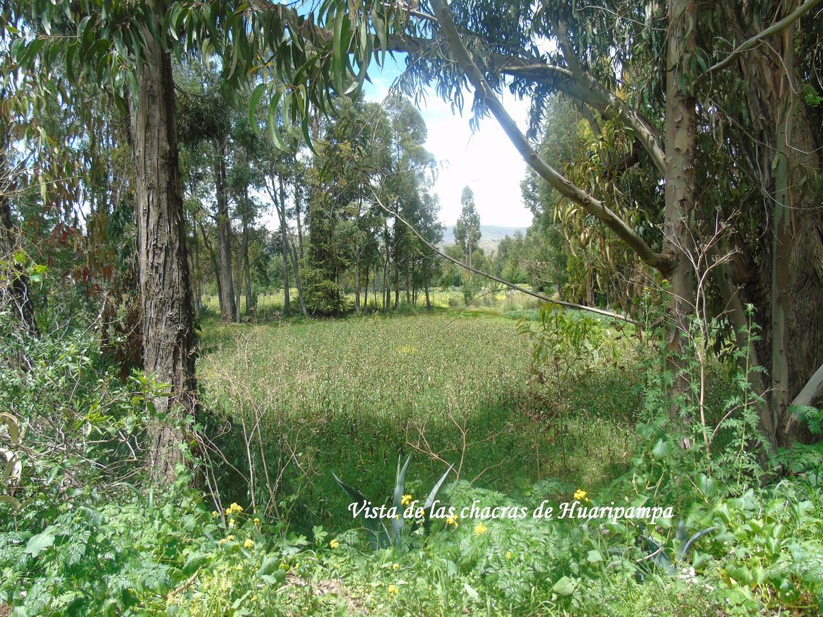 Pousada Villa Huaripampa เฮาฮา ภายนอก รูปภาพ